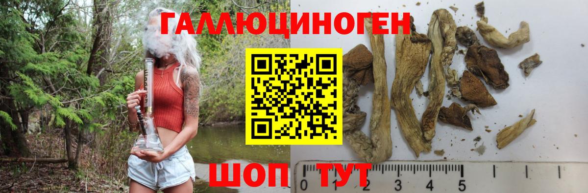 Галлюциногенные грибы GOLDEN TEACHER Туапсе